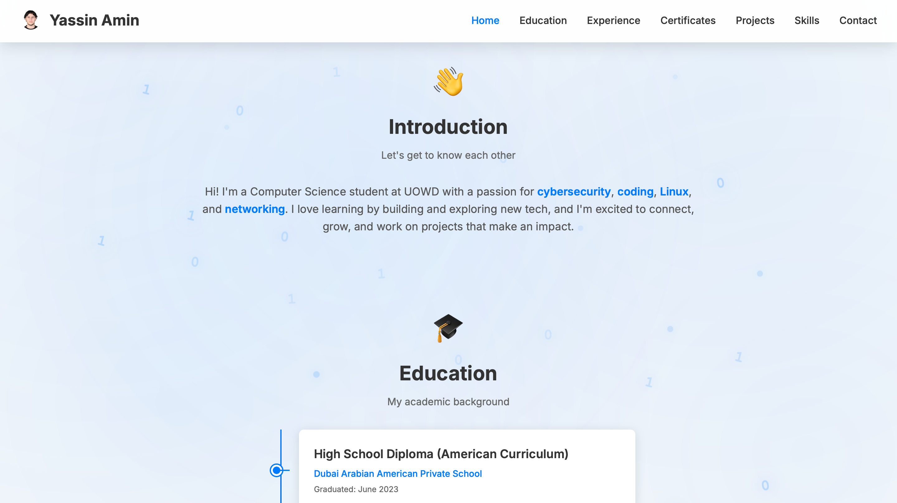 Yassinamin.com website preview